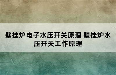 壁挂炉电子水压开关原理 壁挂炉水压开关工作原理